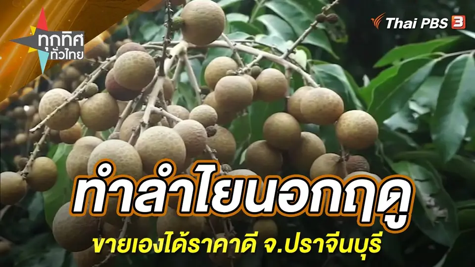 ทุกทิศทั่วไทย