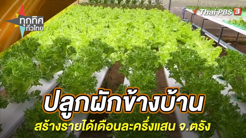 ทุกทิศทั่วไทย
