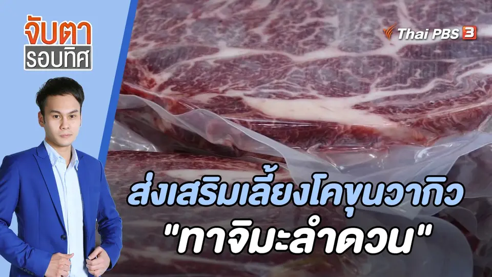 จับตารอบทิศ