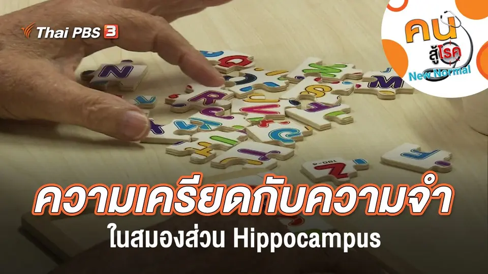 ความเครียดกับความจำในสมองส่วน Hippocampus