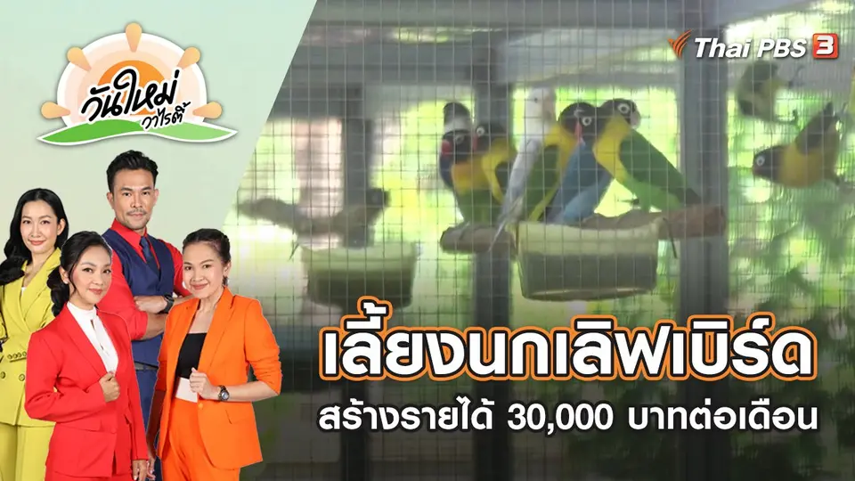 เลี้ยงนกเลิฟเบิร์ด สร้างรายได้ 30,000 บาทต่อเดือน | วันใหม่วาไรตี้ | 31 ต.ค. 65