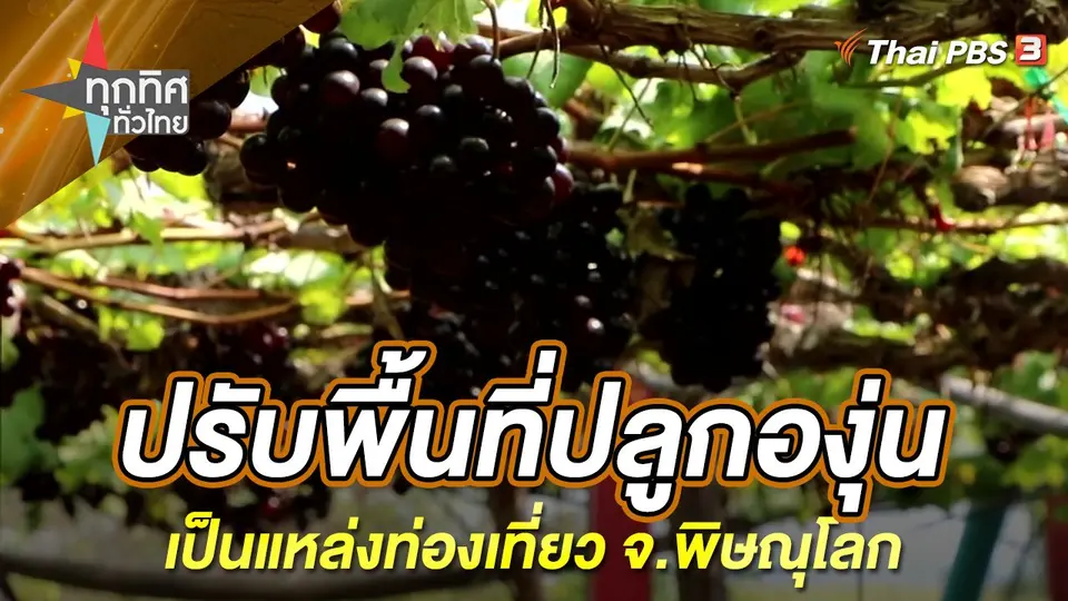 ทุกทิศทั่วไทย