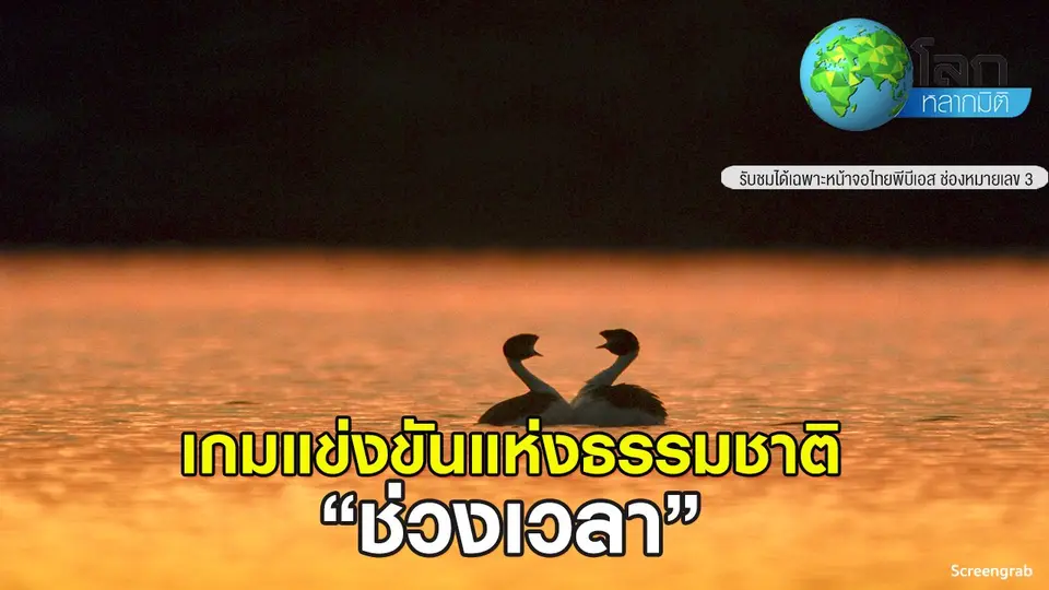 โลกหลากมิติ