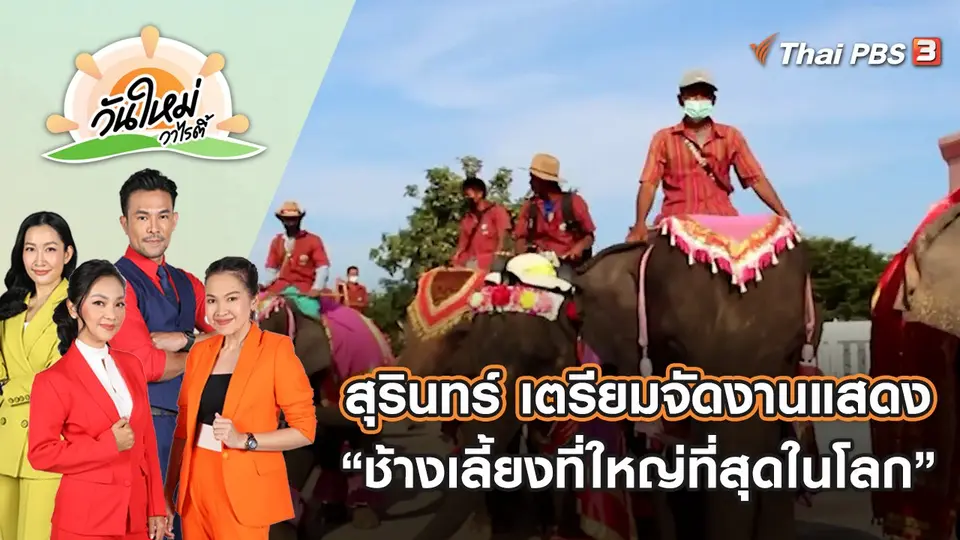 สุรินทร์ เตรียมจัดงานแสดงของ “ช้างเลี้ยงที่ใหญ่ที่สุดในโลก” | วันใหม่วาไรตี้ | 11 พ.ย. 65