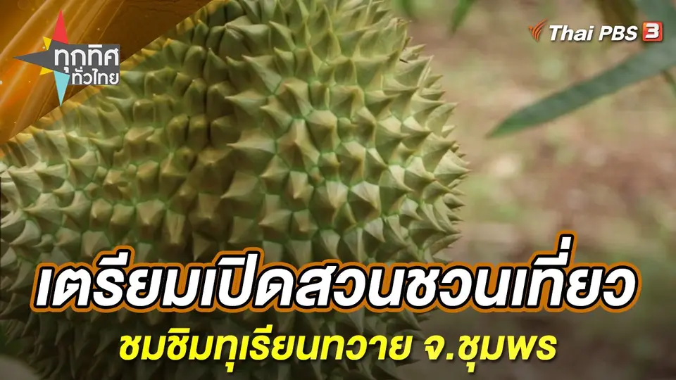 ทุกทิศทั่วไทย