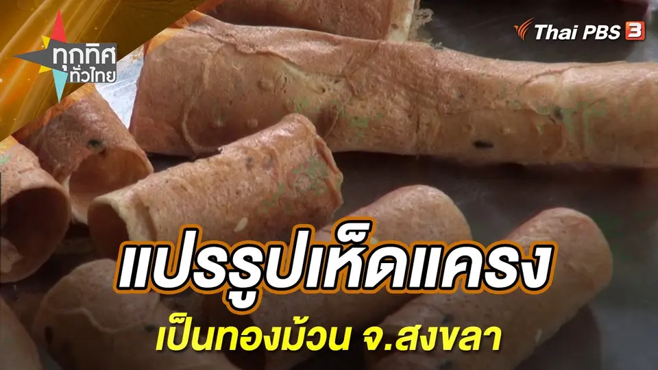 ทุกทิศทั่วไทย