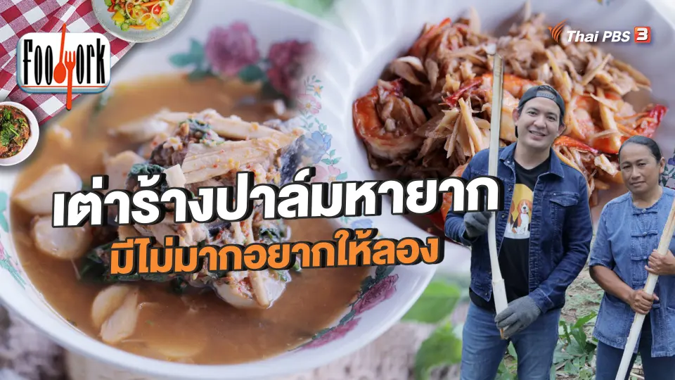 เต่าร้างปาล์มหายาก มีไม่มากอยากให้ลอง