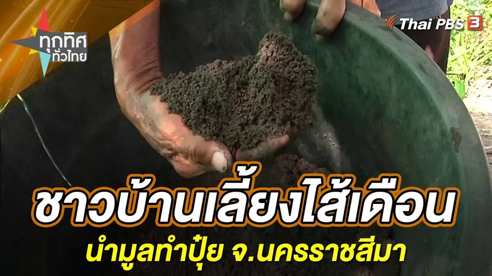 ทุกทิศทั่วไทย