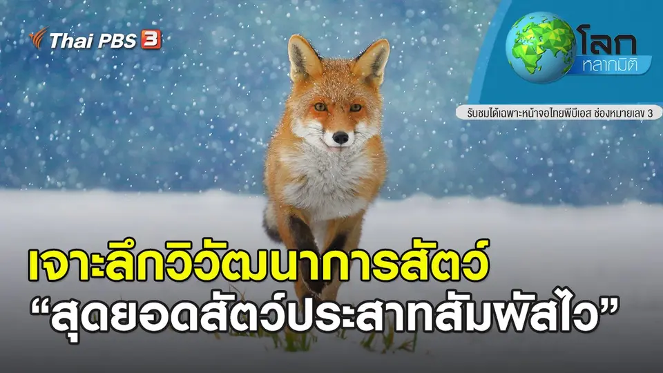 โลกหลากมิติ