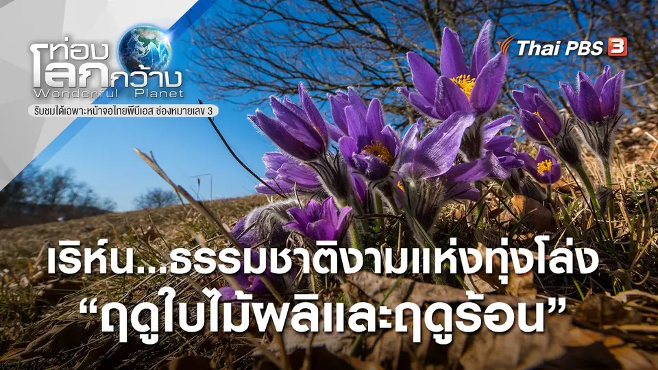 ท่องโลกกว้าง