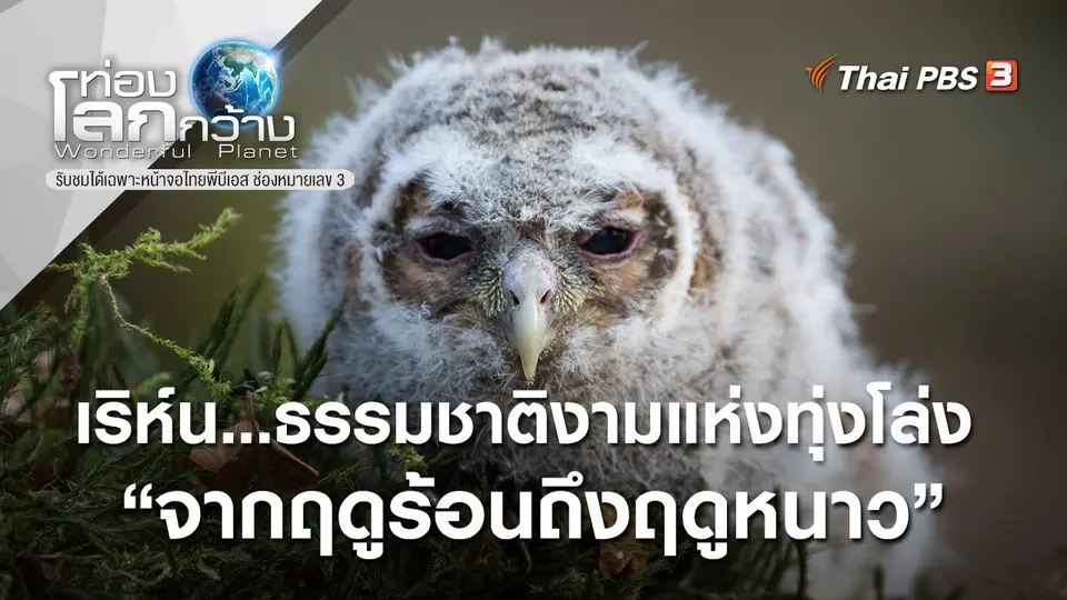 ท่องโลกกว้าง