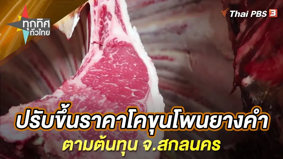ทุกทิศทั่วไทย