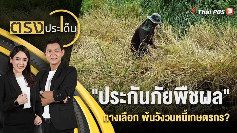 "ประกันภัยพืชผล" ทางเลือก พ้นวังวนหนี้เกษตรกร?