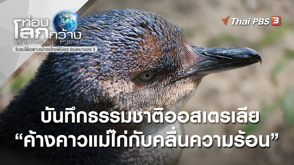 ท่องโลกกว้าง