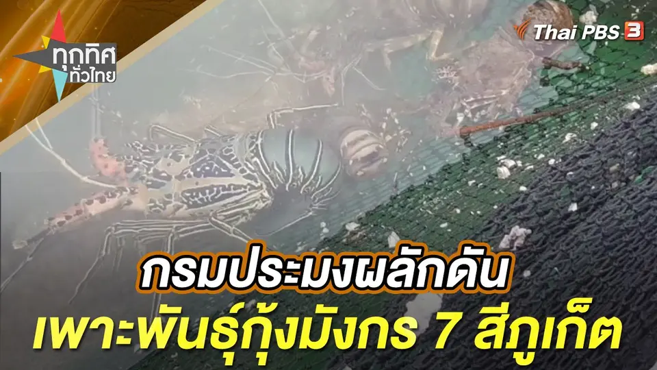 ทุกทิศทั่วไทย