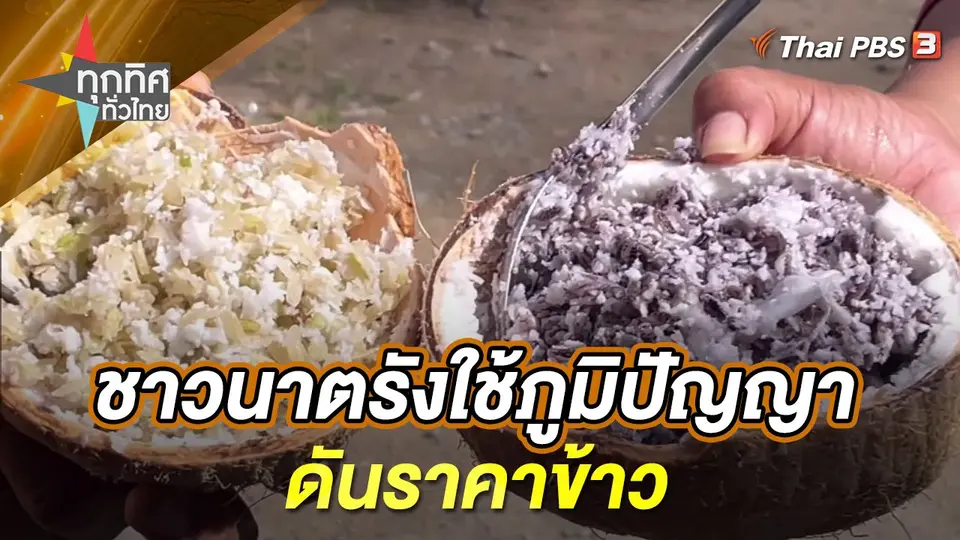 ทุกทิศทั่วไทย