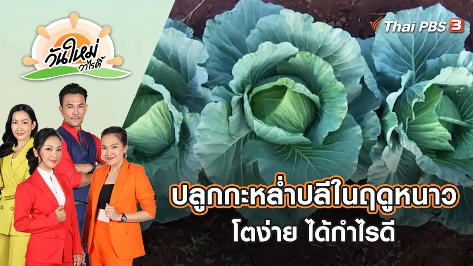 วันใหม่วาไรตี้