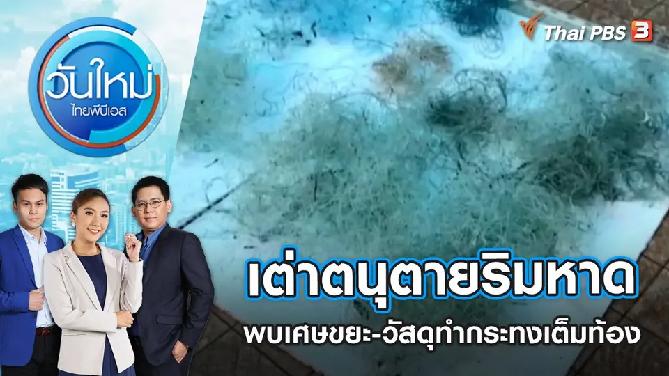 วันใหม่  ไทยพีบีเอส