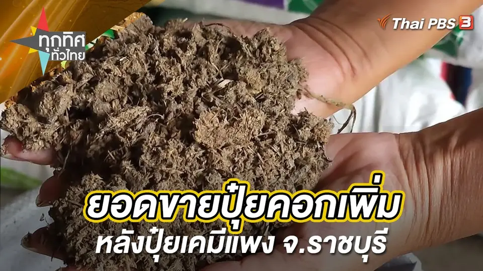ยอดขายปุ๋ยคอกเพิ่มหลังปุ๋ยเคมีแพง จ.ราชบุรี