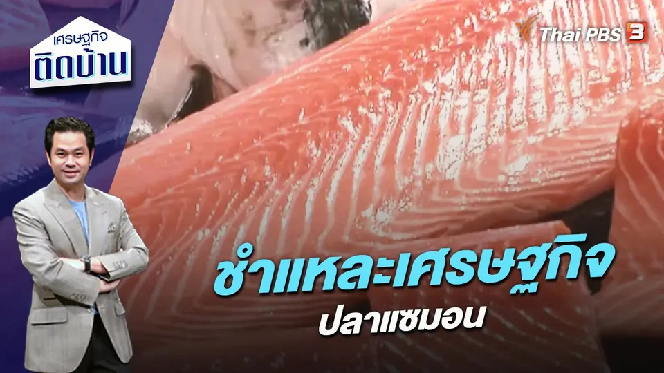 ชำแหละเศรษฐกิจปลาแซมอน