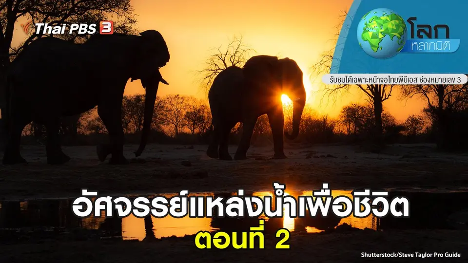 โลกหลากมิติ