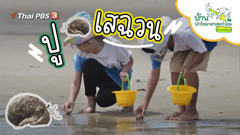 ปูเสฉวน