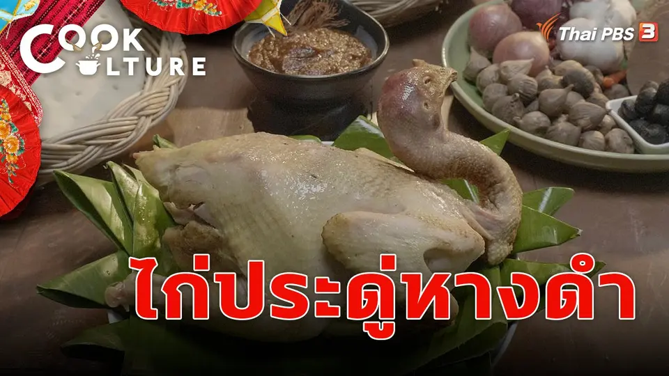 ไก่ประดู่หางดำ