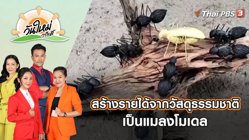 วันใหม่วาไรตี้