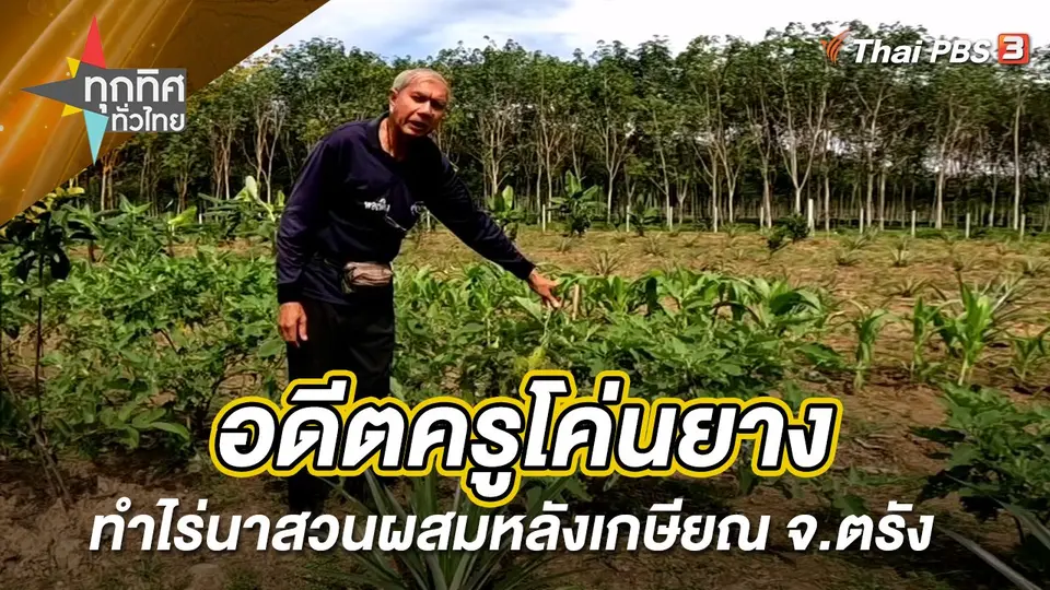 อดีตครูโค่นยางทำไร่นาสวนผสมหลังเกษียณ จ.ตรัง