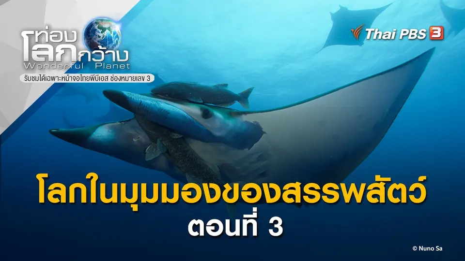 ท่องโลกกว้าง