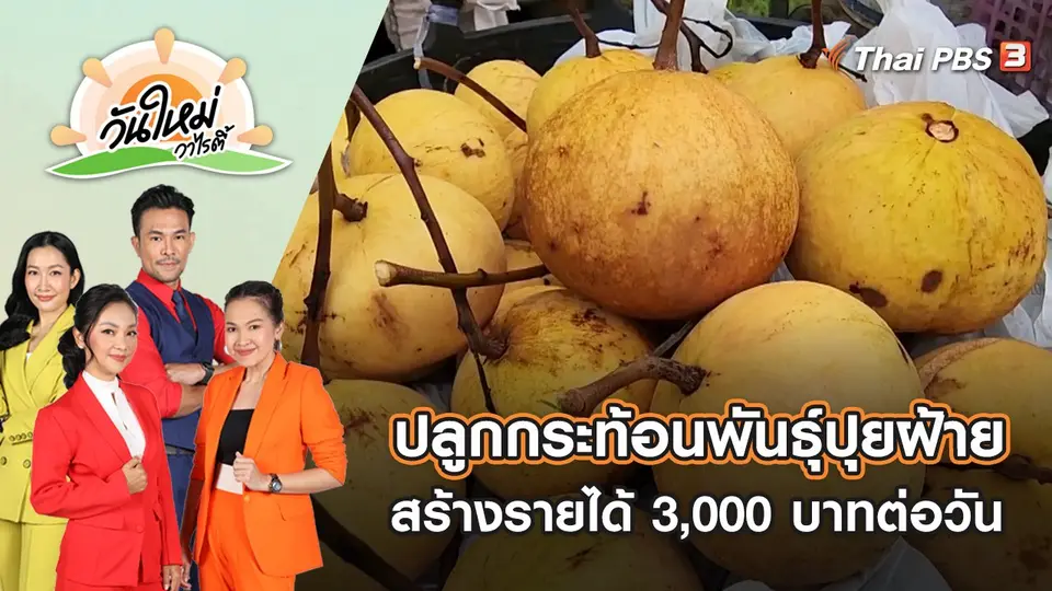 วันใหม่วาไรตี้