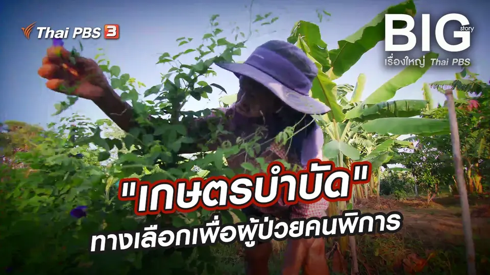 "เกษตรบำบัด" ทางเลือกเพื่อผู้ป่วยคนพิการ