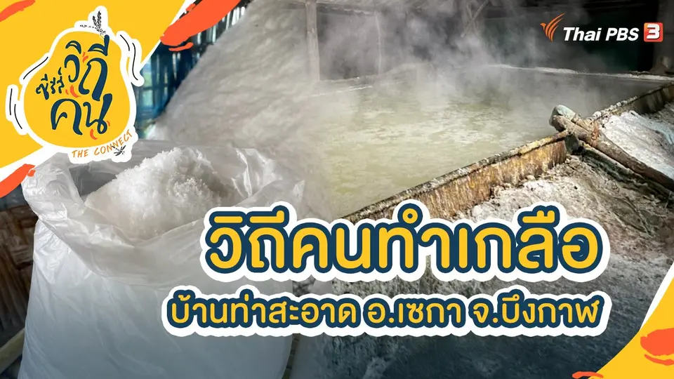 วิถีคนทำเกลือบ้านท่าสะอาด อ.เซกา จ.บึงกาฬ