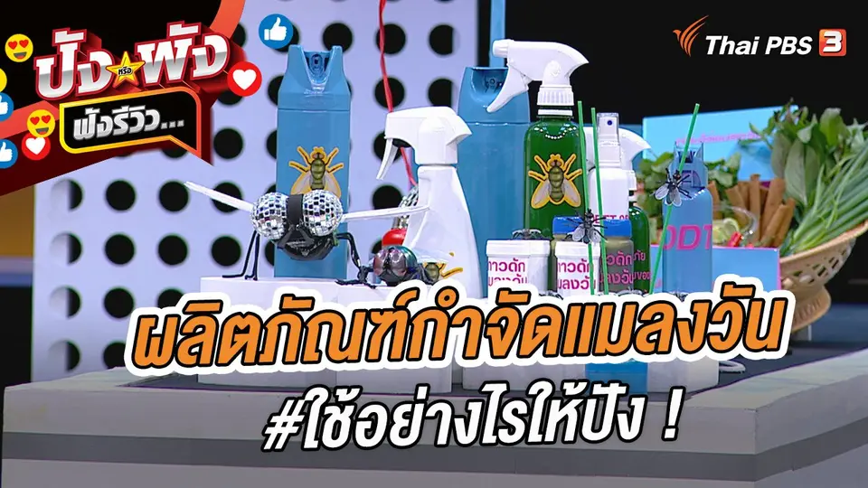 ผลิตภัณฑ์กำจัดแมลงวัน #ใช้อย่างไรให้ปัง !