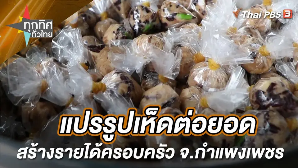 แปรรูปเห็ดต่อยอดสร้างรายได้ครอบครัว จ.กำแพงเพชร