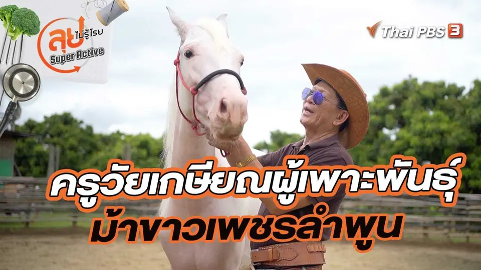 ครูวัยเกษียณผู้เพาะพันธุ์ม้าขาวเพชรลำพูน