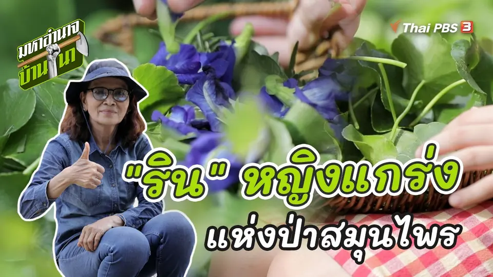 "ริน" หญิงแกร่งแห่งป่าสมุนไพร