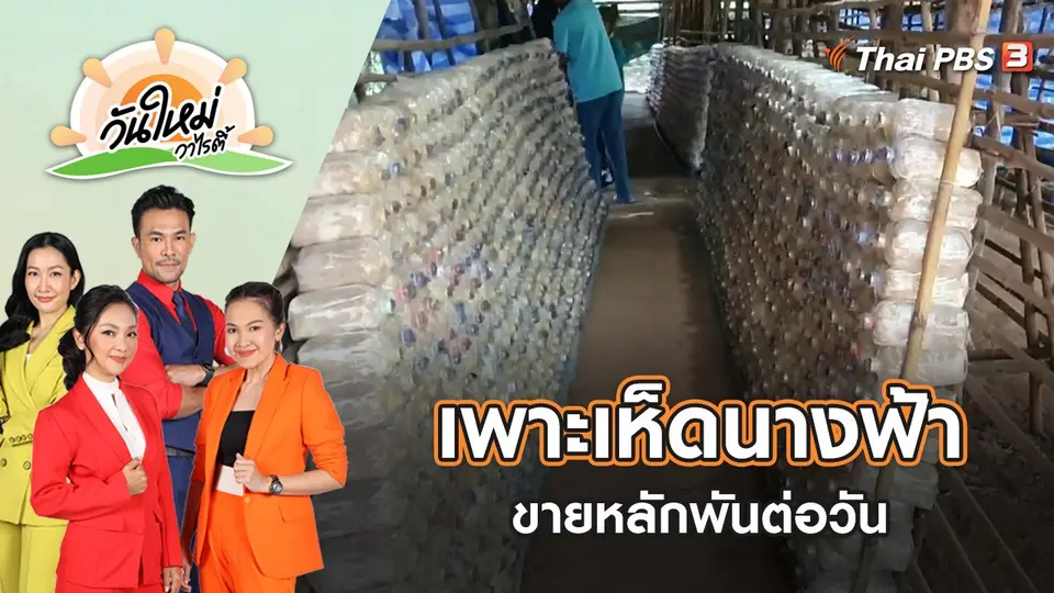 วันใหม่วาไรตี้