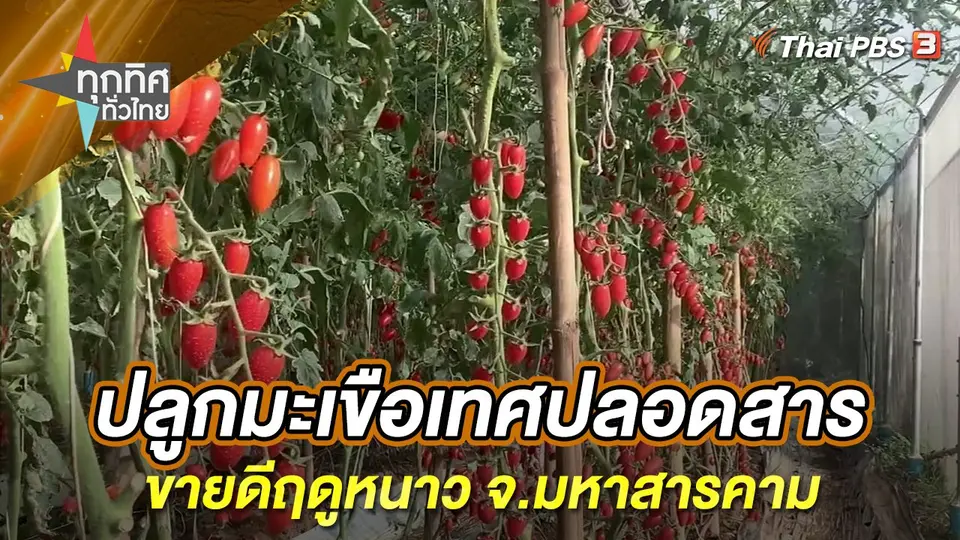 ทุกทิศทั่วไทย
