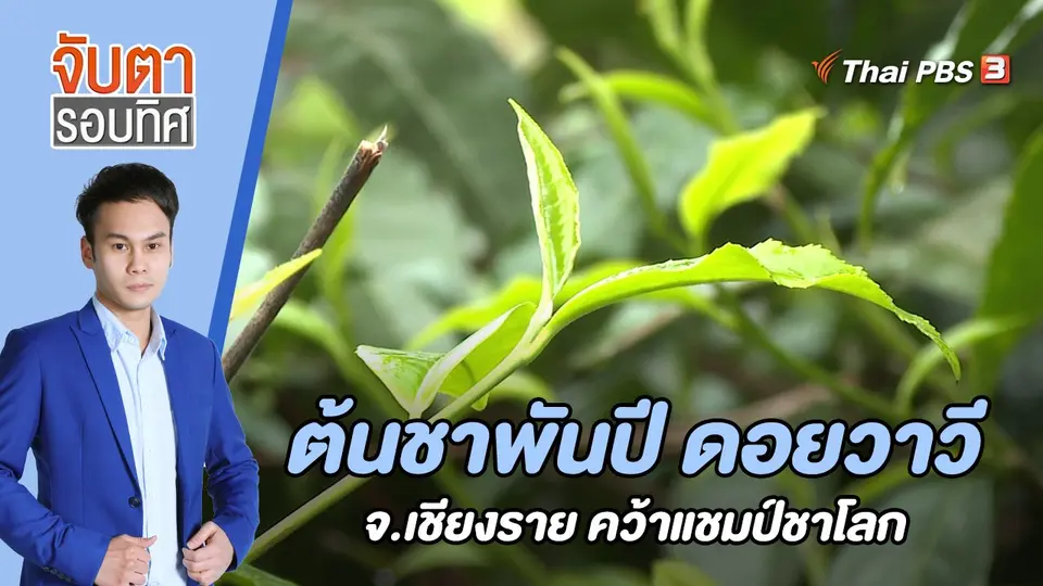 จับตารอบทิศ