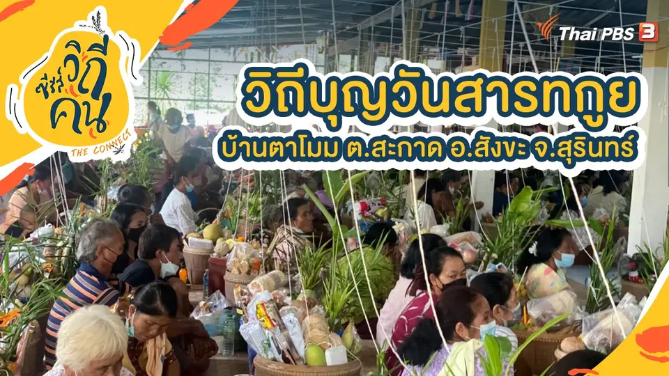 วิถีบุญวันสารทกูย บ้านตาโมม ต.สะกาด อ.สังขะ จ.สุรินทร์