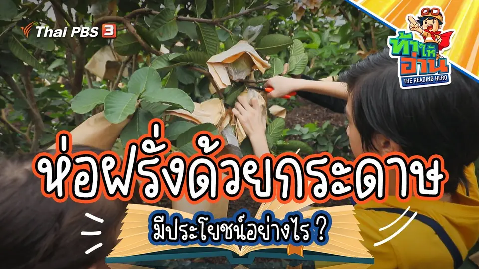 รู้ให้ลึกเรื่องฝรั่ง กับน้องตะวันและน้องเฟรย่า