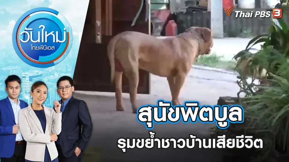 สุนัขพิตบูล รุมขย้ำชาวบ้านเสียชีวิต | วันใหม่ ไทยพีบีเอส | 16 ธ.ค. 65