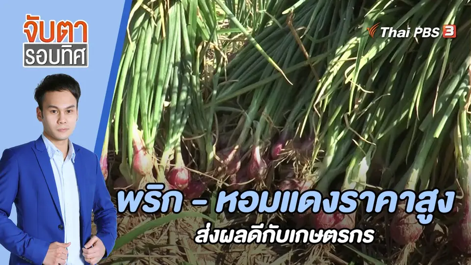 จับตารอบทิศ