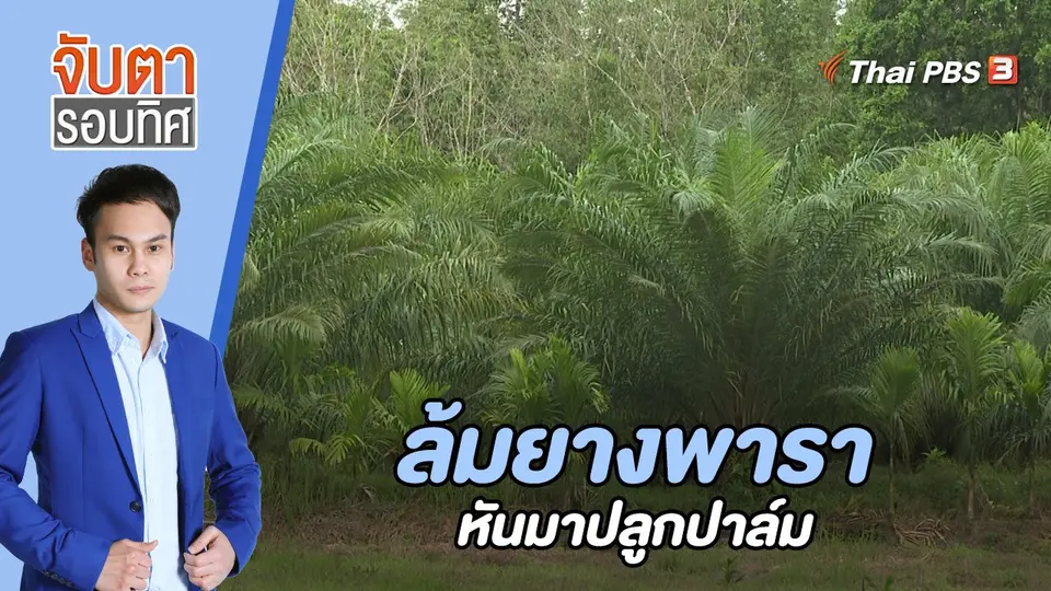 จับตารอบทิศ