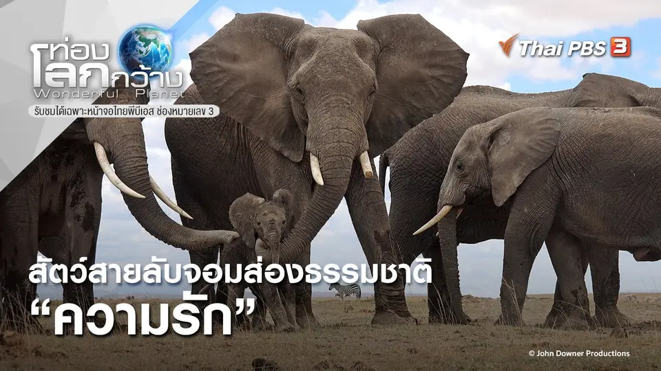 ท่องโลกกว้าง