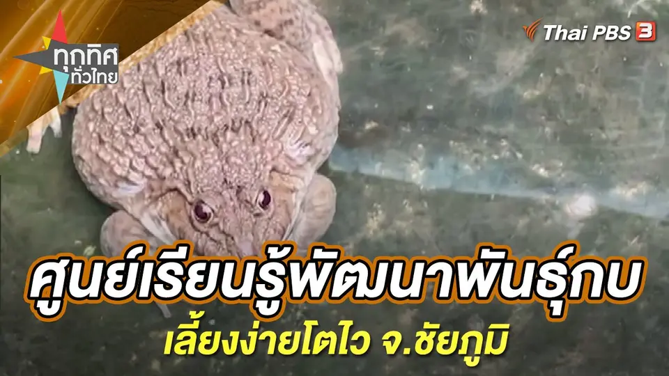 ทุกทิศทั่วไทย