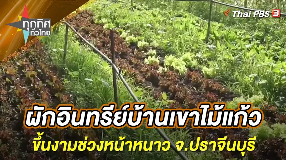 ทุกทิศทั่วไทย