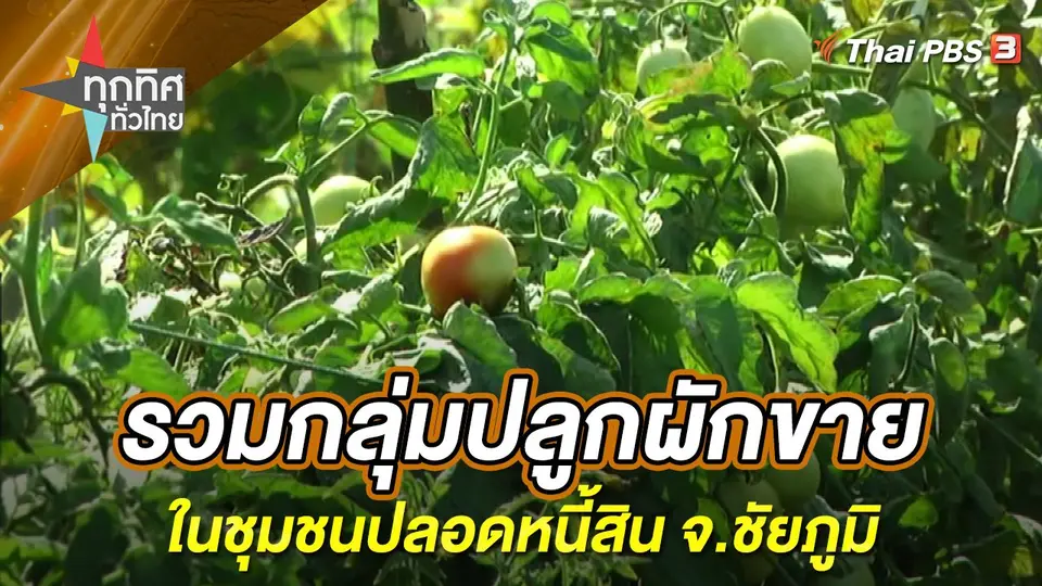 ทุกทิศทั่วไทย