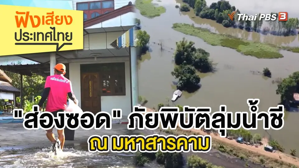 "ส่องซอด" ภัยพิบัติลุ่มน้ำชี ณ มหาสารคาม